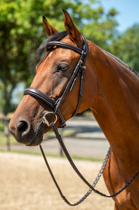 HKM Hunter 2 Bridle - Dark Brown