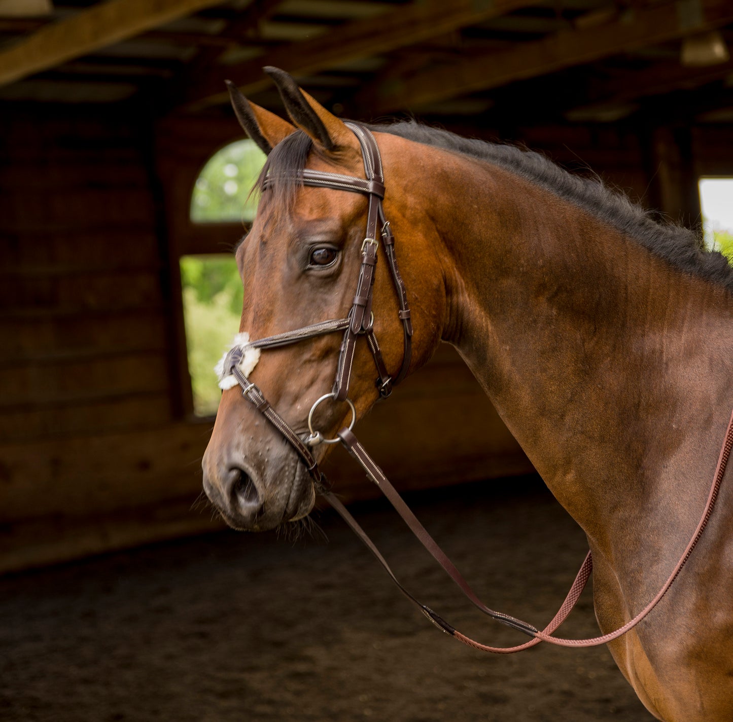 Shires Avignon Woodside Bridle