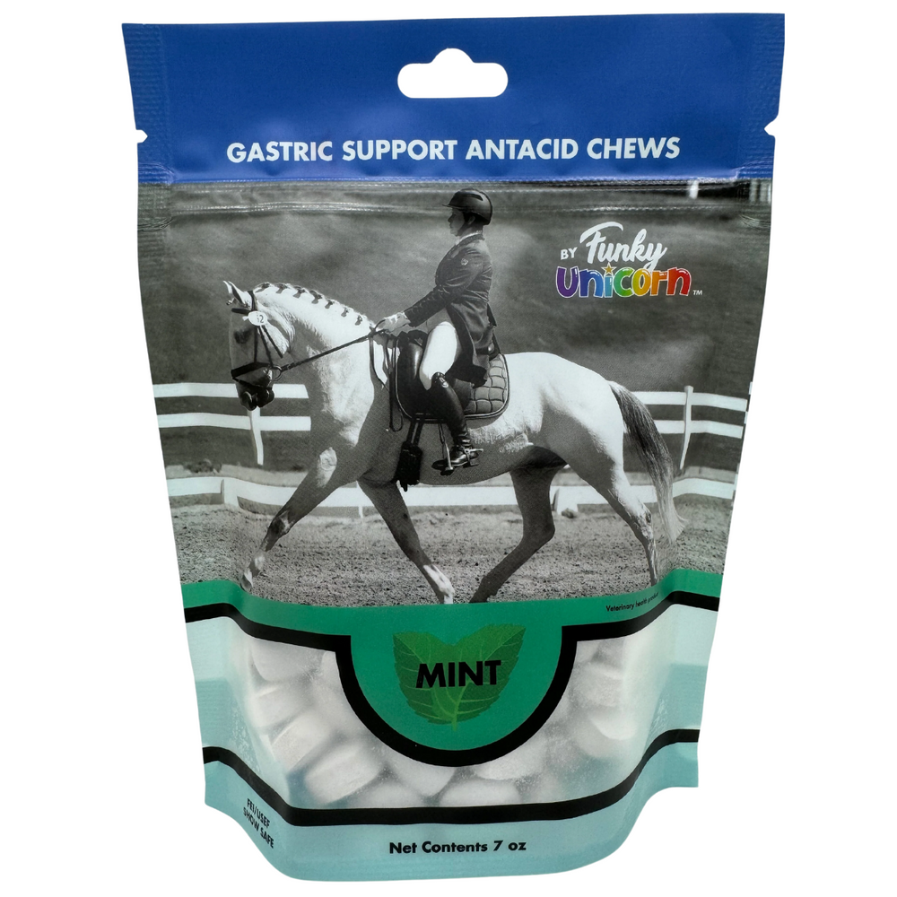 Funky Unicorn Gastric Support Antacid Chews - Mint