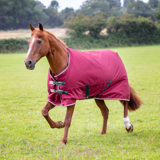 Shires Tempest 200g Turnout Blanket
