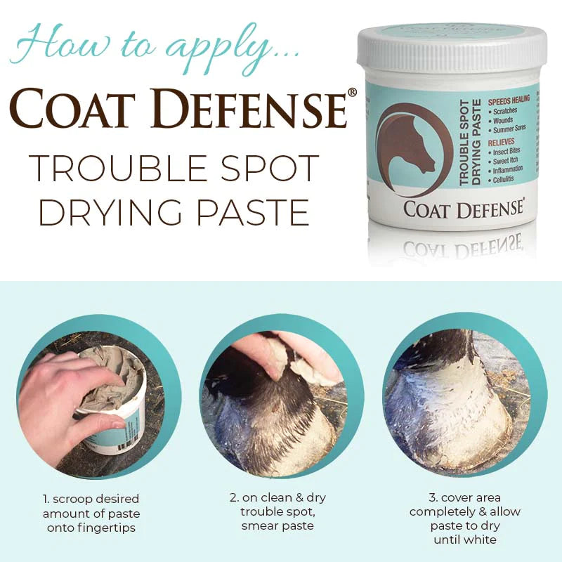 Coat Defense Trouble Spot Drying Paste - 24 oz