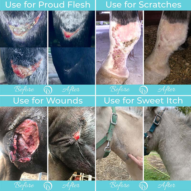 Coat Defense Trouble Spot Drying Paste - 10 oz