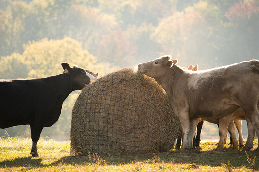 Cattle & Livestock Round Bale Hay Net - 3" Holes