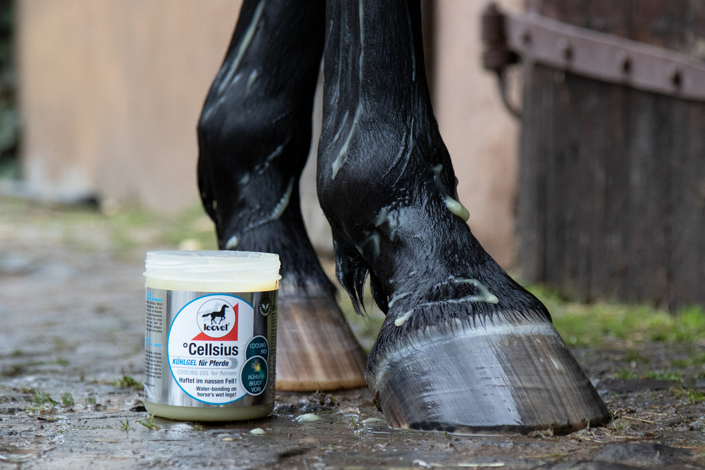 Leovet Cellsius Gel - 600ml