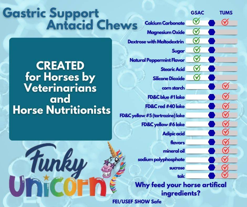 Funky Unicorn Gastric Support Antacid Chews - Mint