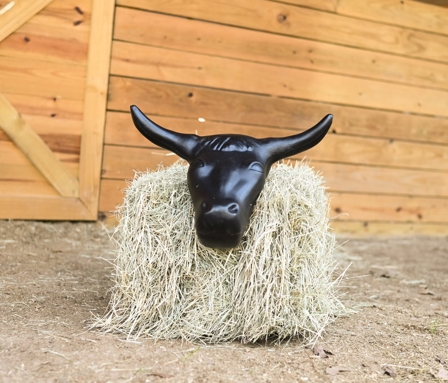 AJ Tack Adult Size 20" Horn Spread Steer Head Roping Dummy