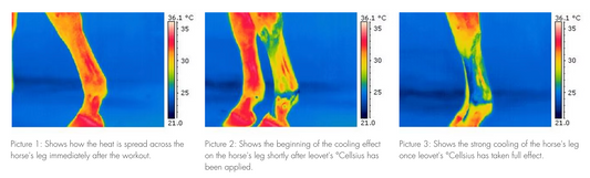 Leovet Cellsius Gel - 600ml