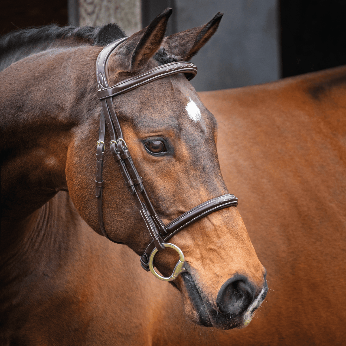 Shires Velociti Lusso Hunter Cavesson Bridle