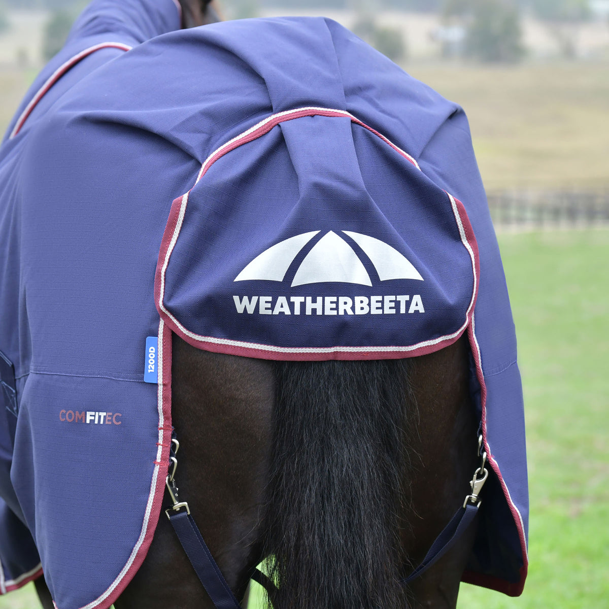 image_addtnl_4 - Navy/Burgundy - WeatherBeeta ComFiTec Essential Turnout Detach-A-Neck 220G - .jpg