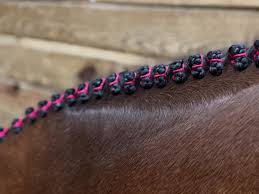 Braiding Mousse 6 oz clear bottle
