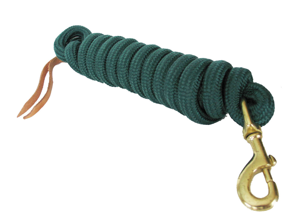 AJ Tack Green 9 Foot Nylon Lead Rope with Leather Popper