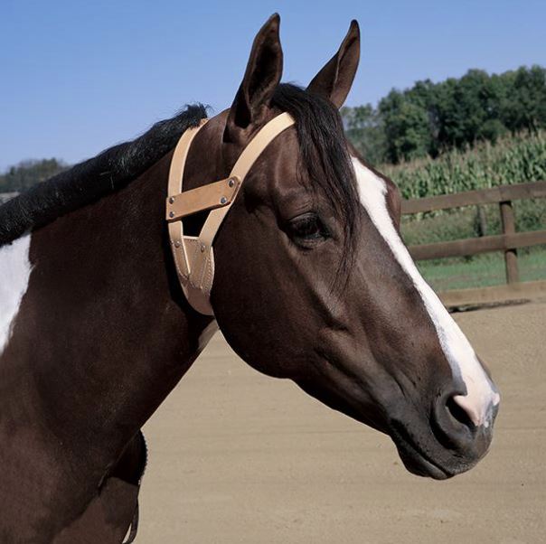 Weaver Miracle Collar - Golden Brown