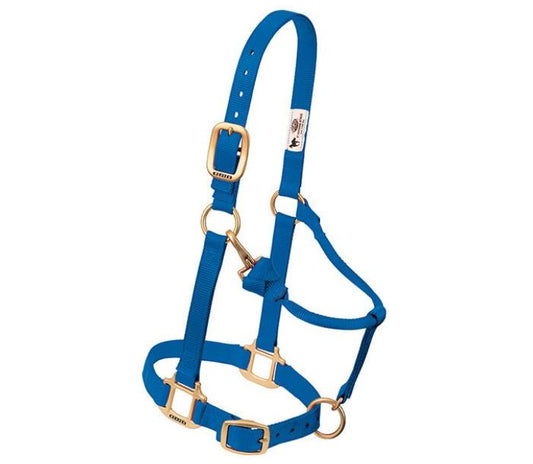 Weaver Original Adjustable Chin and Throat Snap Nylon Halter - Weanling/Pony Blue