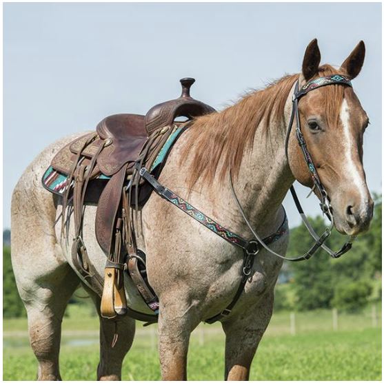 Contoured Single Weave Wool Blend Felt Saddle Pad