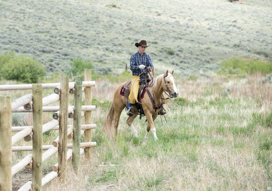 Weaver Neoprene Straight Smart Cinch with Roll Snug Cinch Buckle - Black