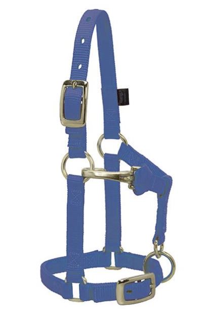 Weaver Miniature Average Horse Adjustable Chin & Throat Snap Halter Blue