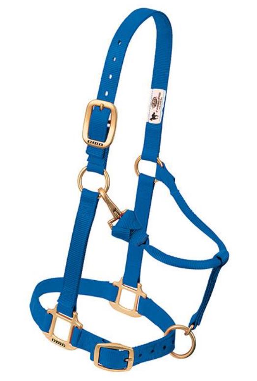 Weaver Original Adjustable Chin and Throat Snap Nylon Halter - Average Horse Blue