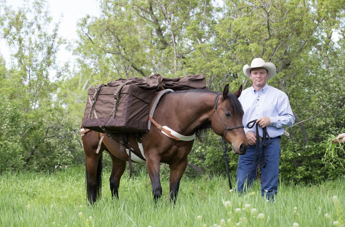Weaver Silvertip Big Sky Rope Halter