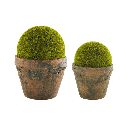 Mud Pie Moss Ball Pots
