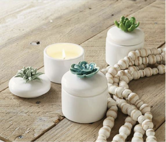 Mud Pie Succulent Citronella Candle