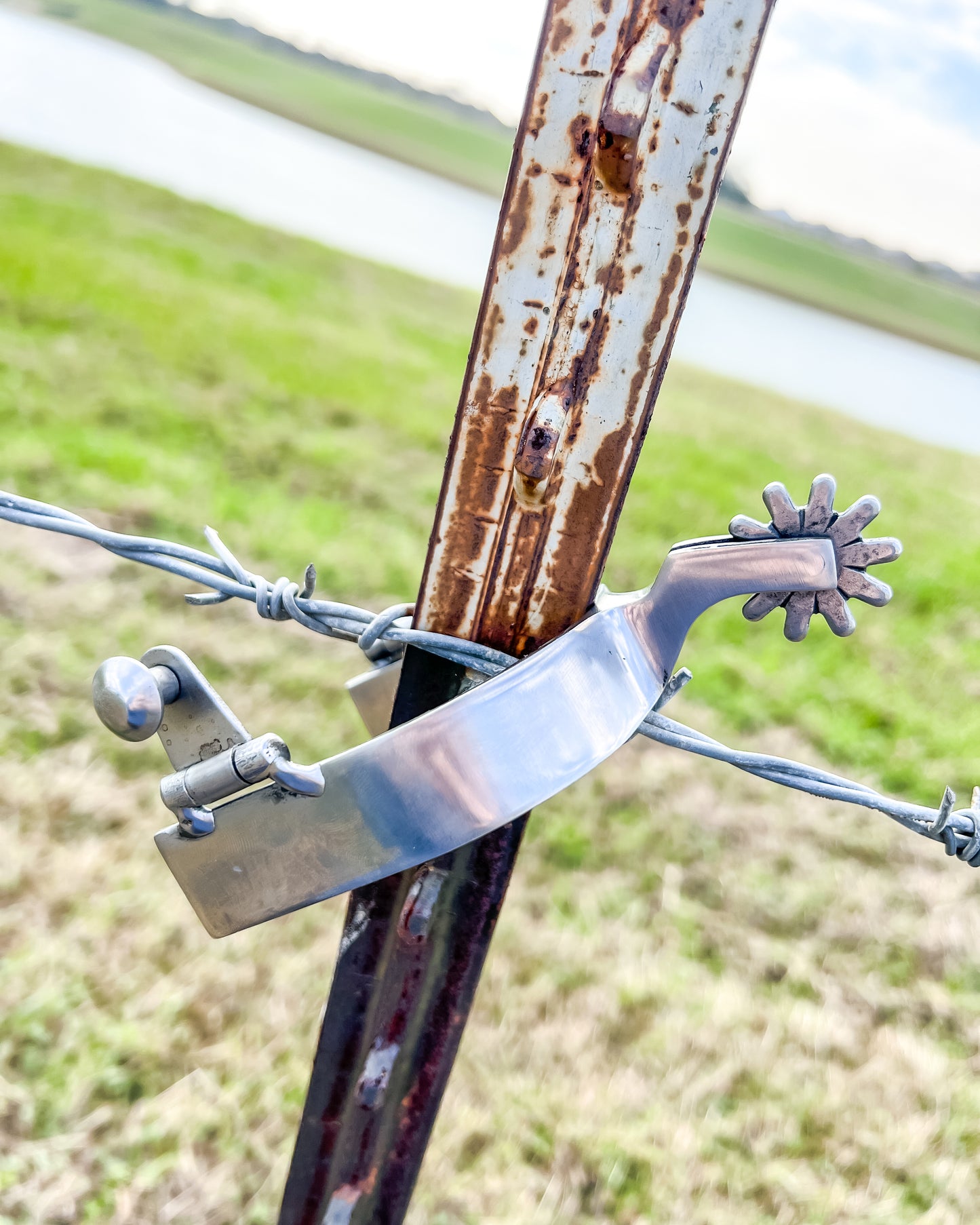 Single Brushed Stainless Steel Spur on a rusty fence post with barbed wire