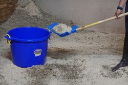 Horse owner scooping muck into a muck bucket