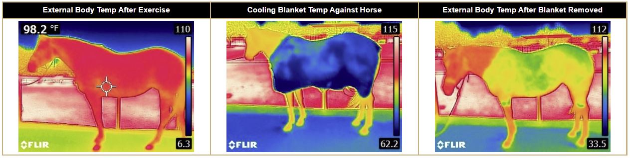 Coolcore cooling blanket horses temperature