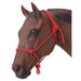 Tough 1 Poly Rope Halter Red