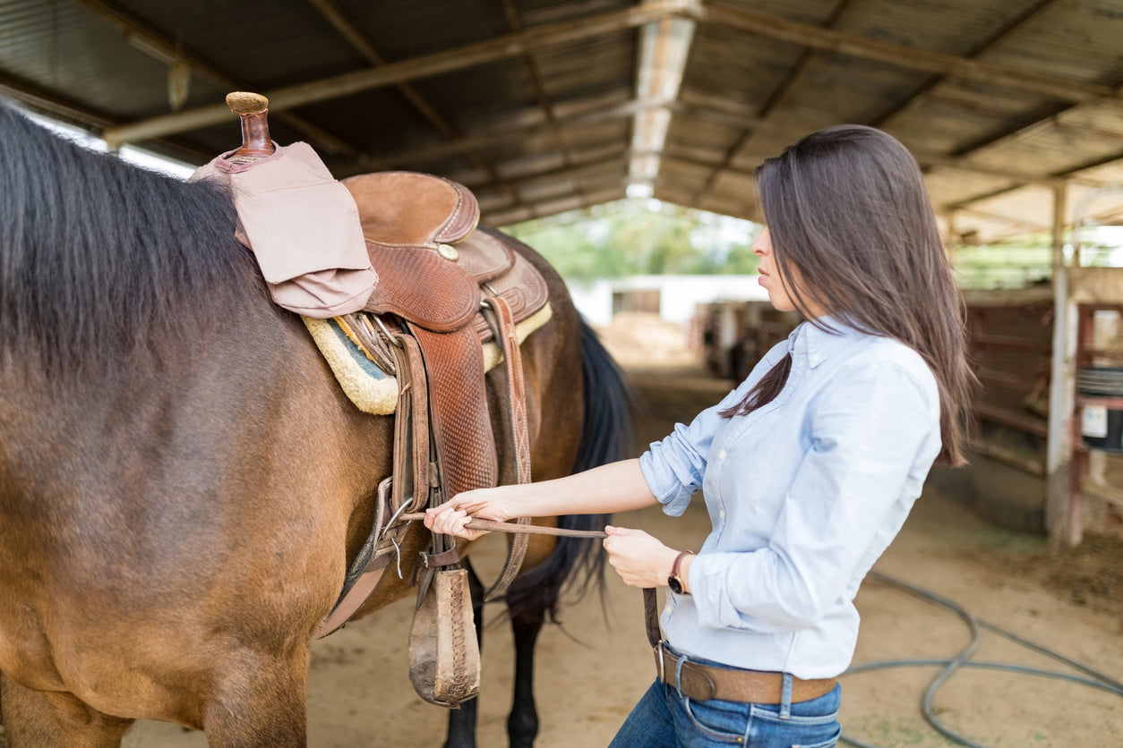 A Step-by-Step Guide to Properly Tacking Your Horse