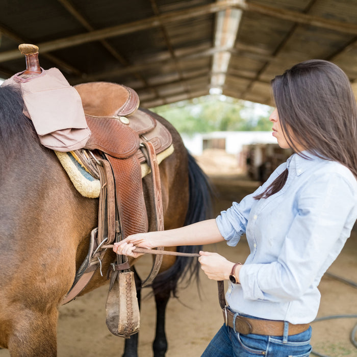 A Step-by-Step Guide to Properly Tacking Your Horse