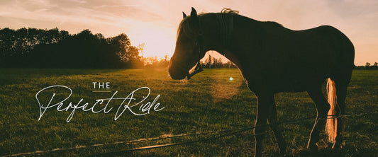 The Perfect Ride - First Blog Post