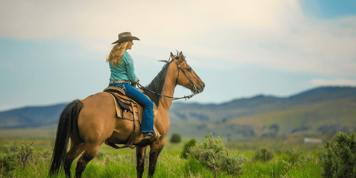 Can I Buy Used Horse Tack and Is It Safe To Do So? AJ Tack — AJ Tack