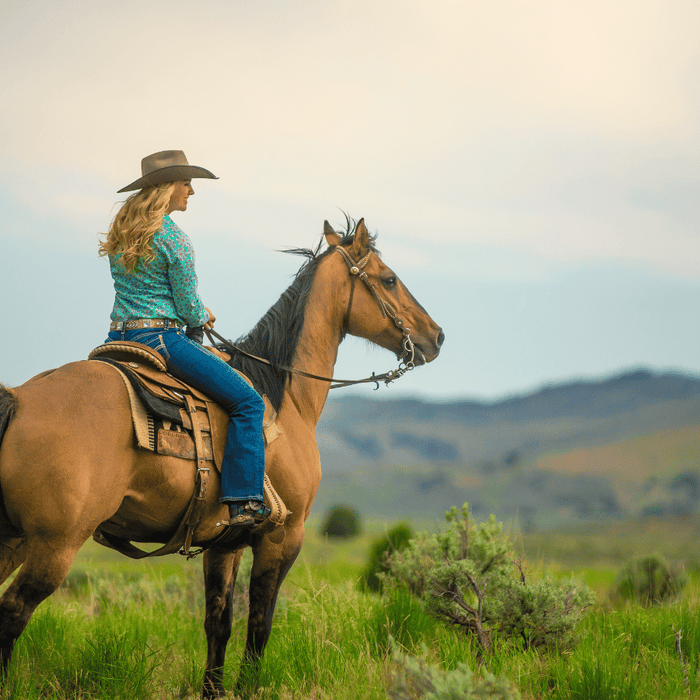 Can I Buy Used Horse Tack and Is It Safe To Do So?