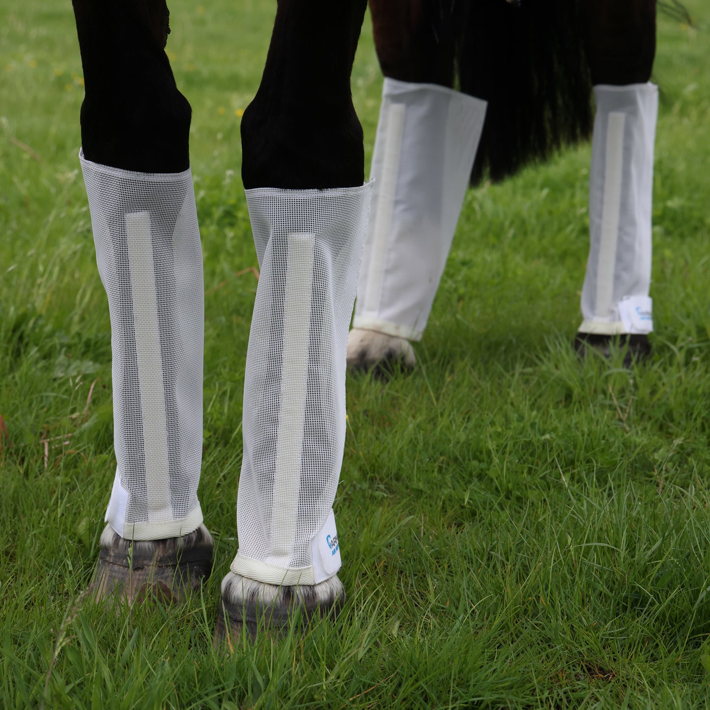 Shires ARMA Mesh Horse Fly Boots, Set of 4