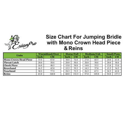 ExionPro 'Phoenix' Convertible Jumping Bridle with Removable Flash & Reins