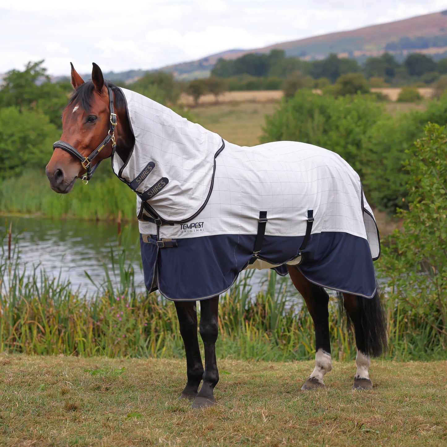 Shires Tempest Original Summer Shield Horse Fly Sheet & Neck Rug Set