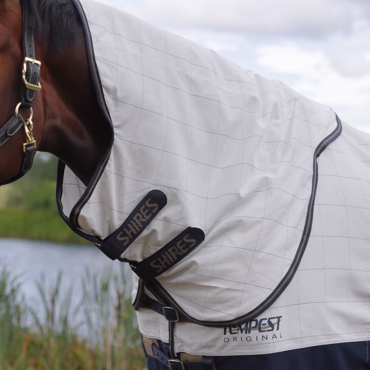 Shires Tempest Original Summer Shield Horse Fly Sheet & Neck Rug Set
