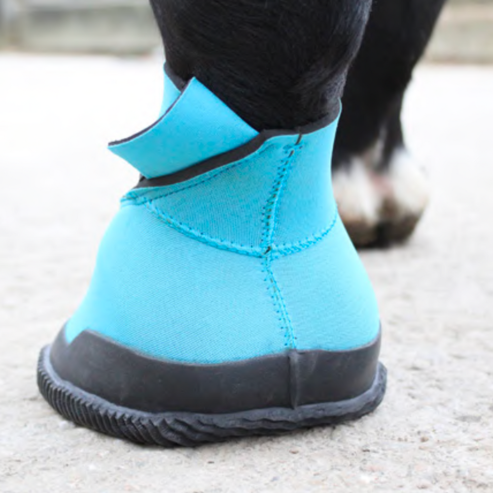 Woof Wear Medical Hoof Boot