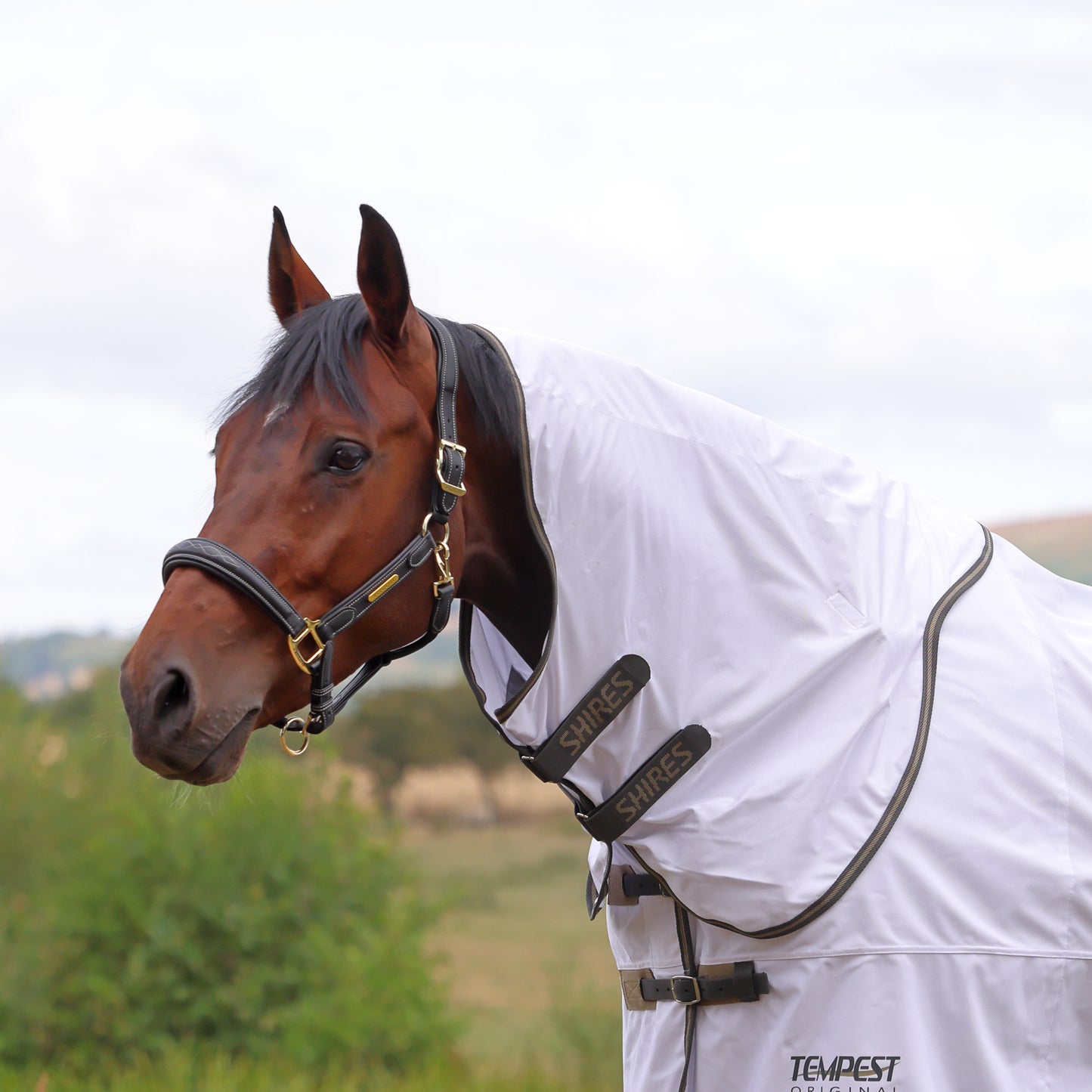 Shires Tempest Original Horse Fly Neck Cover