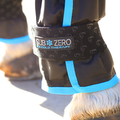Shires ARMA SubZero Horse Ice Boots, Set of 2