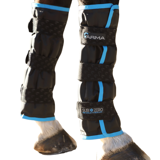 Shires ARMA SubZero Horse Ice Boots, Set of 2