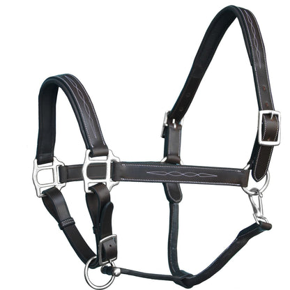 ExionPro Fancy Stitched Halter - Brass Nickel Hardware