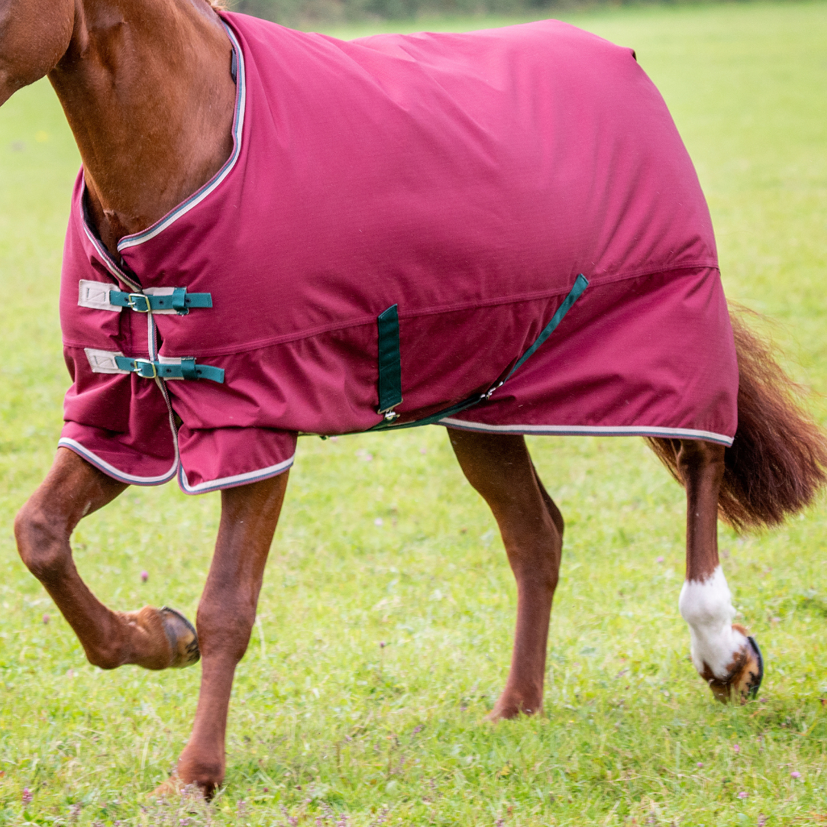 Shires Tempest 200g Turnout Blanket