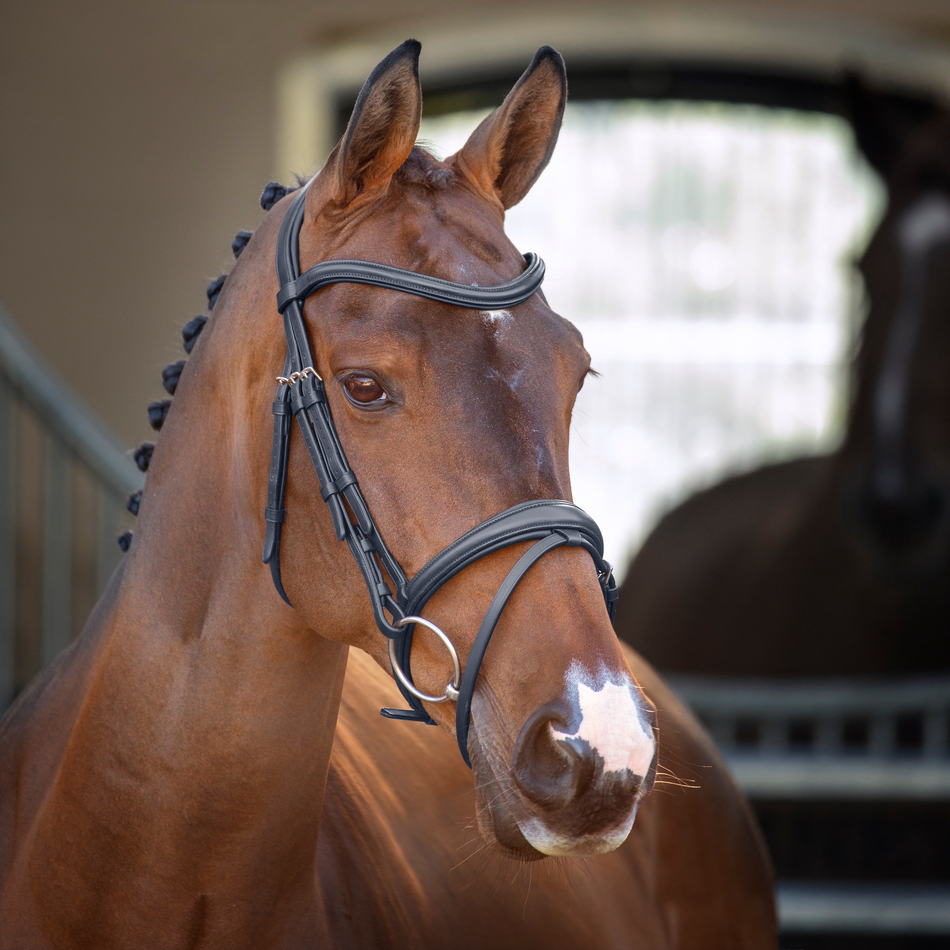 Shires Velociti Lusso Bridle