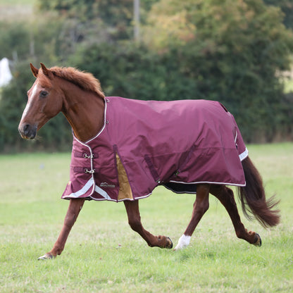 Shires Highlander Plus 100g Blanket