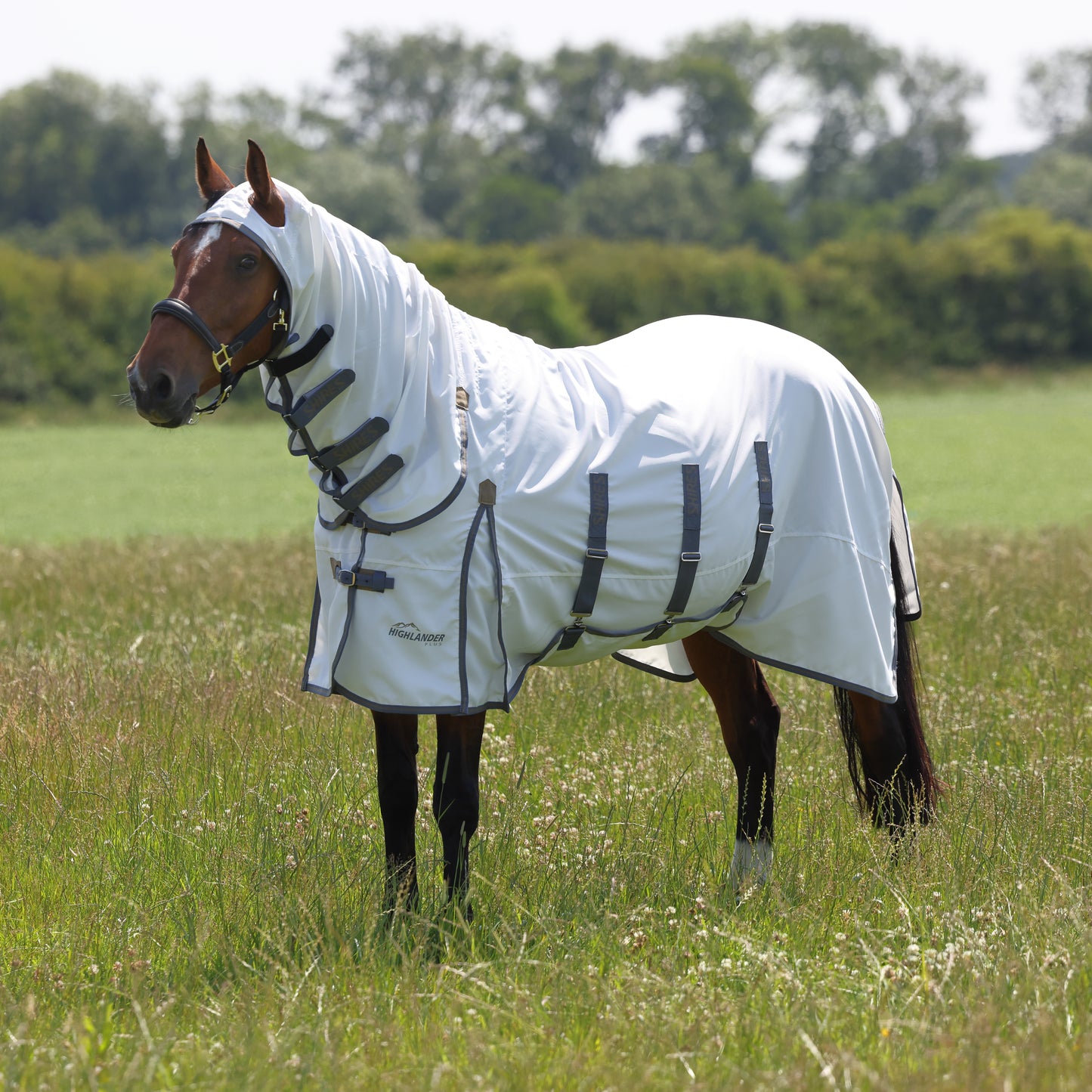 Shires Highlander Plus Sweet Itch Combo Horse Fly Rug with Hood