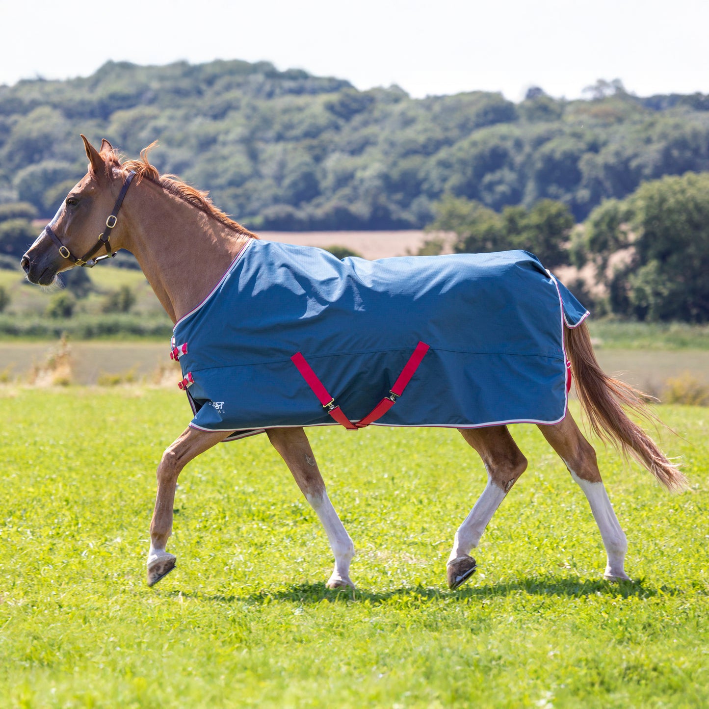 Shires Tempest Original Lite Turnout Blanket