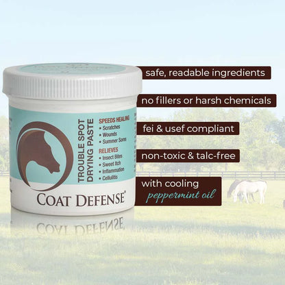 Coat Defense Trouble Spot Drying Paste - 24 oz
