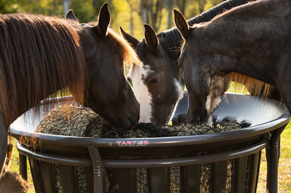 Hay Net for Tarter Equine Hay Basket (Basket Sold Separately)