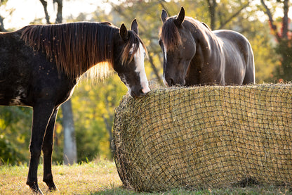 Large Square Bale Hay Net